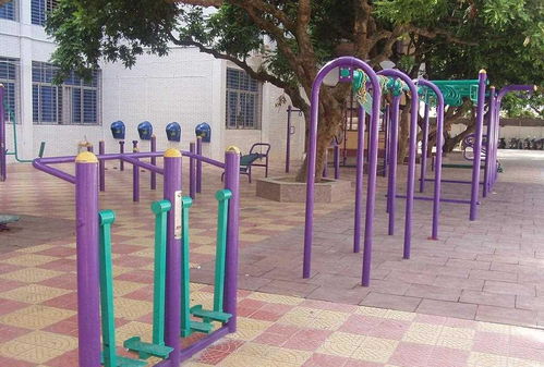 全民健身新風(fēng)尚 室外健身器材的多元價值與使用指南